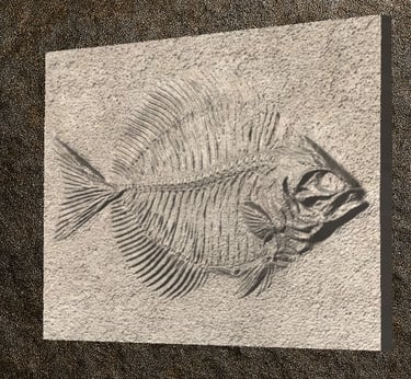 035244ff-6443-43cb-a001-feec58919d52 STL 3D File - Fossilized Fish