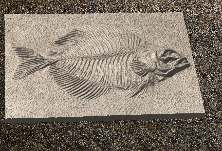 Fossilized Fish 1 STL 3D File –Fossilized Fish