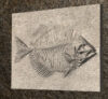 Fossilized Fish 2 STL 3D File –Fossilized Fish
