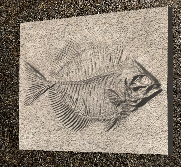 Fossilized Fish 2 STL 3D File –Fossilized Fish
