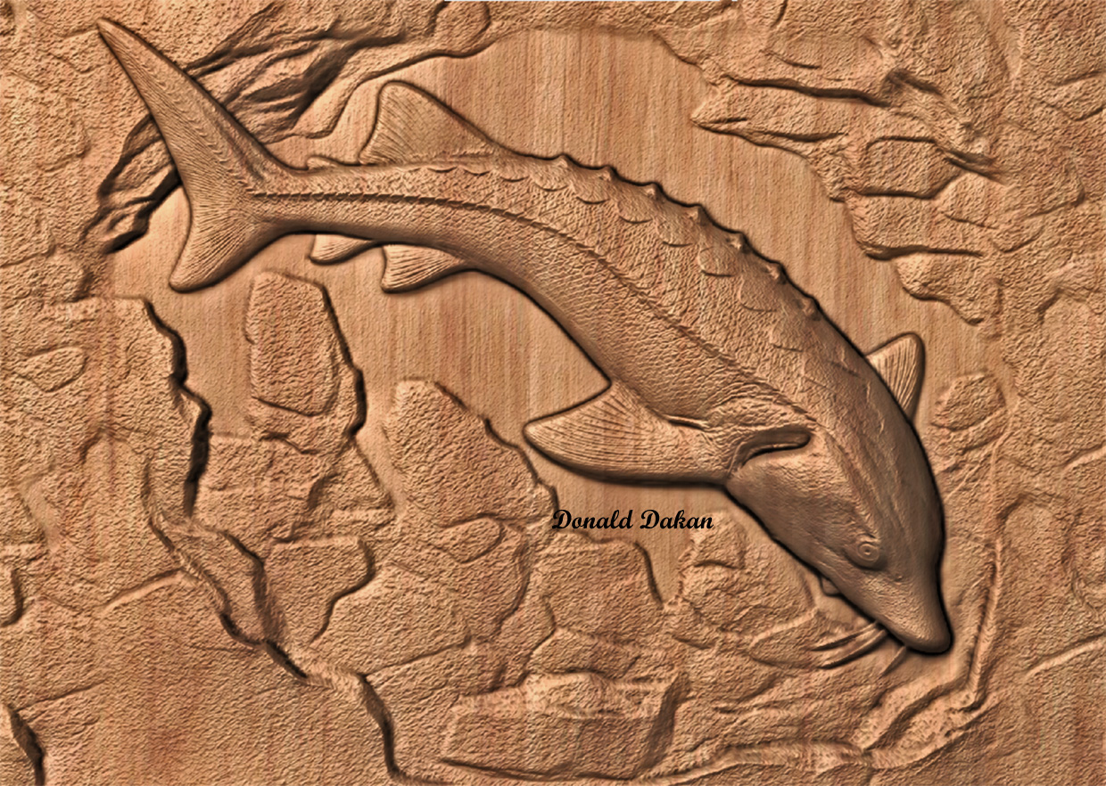 CNC File- Sturgeon