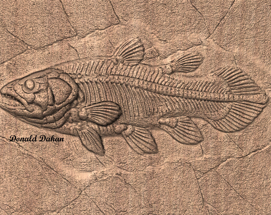 STL 3D File – Fossil Coelacanth
