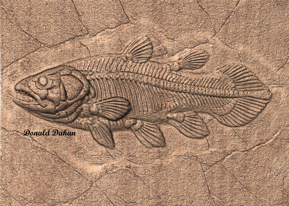 STL 3D File – Fossil Coelacanth