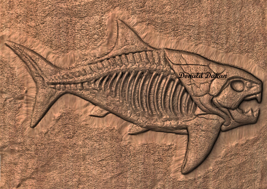 XXFossilized Dunkleosteus STL 3D File – Fossilized Dunkleosteus