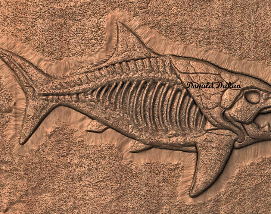 XXFossilized Dunkleosteus STL 3D File – Fossilized Dunkleosteus