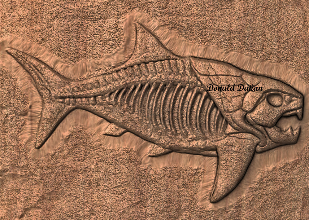 STL 3D File – Fossilized Dunkleosteus