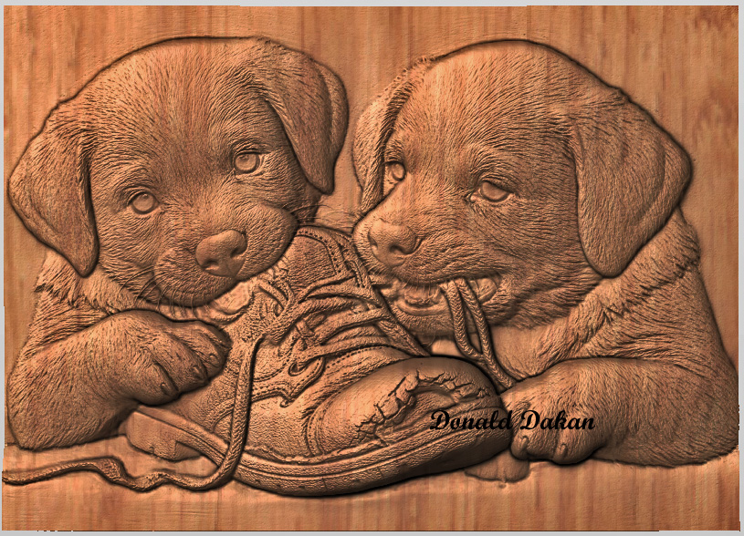 XXPuppies and Old Shoe Puppies and Old Shoe