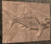 fish 2 STL 3D File – Fossilized Dunkleosteus