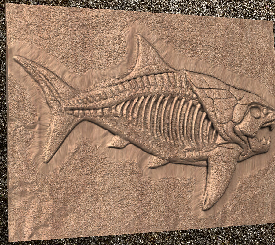 fish 2 STL 3D File – Fossilized Dunkleosteus