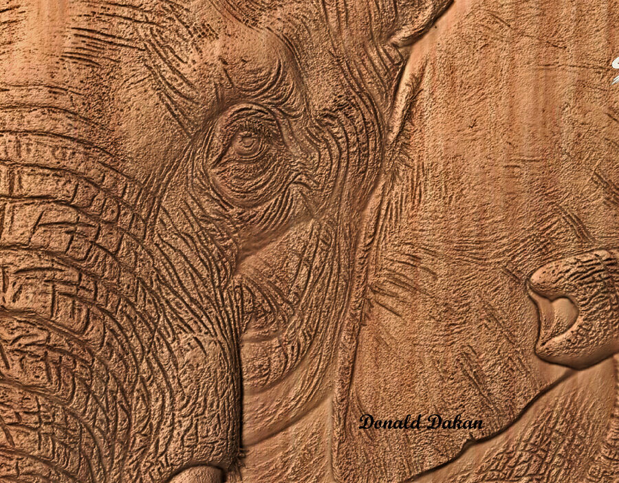 Bull Elephant Bull Elephant - CNC File