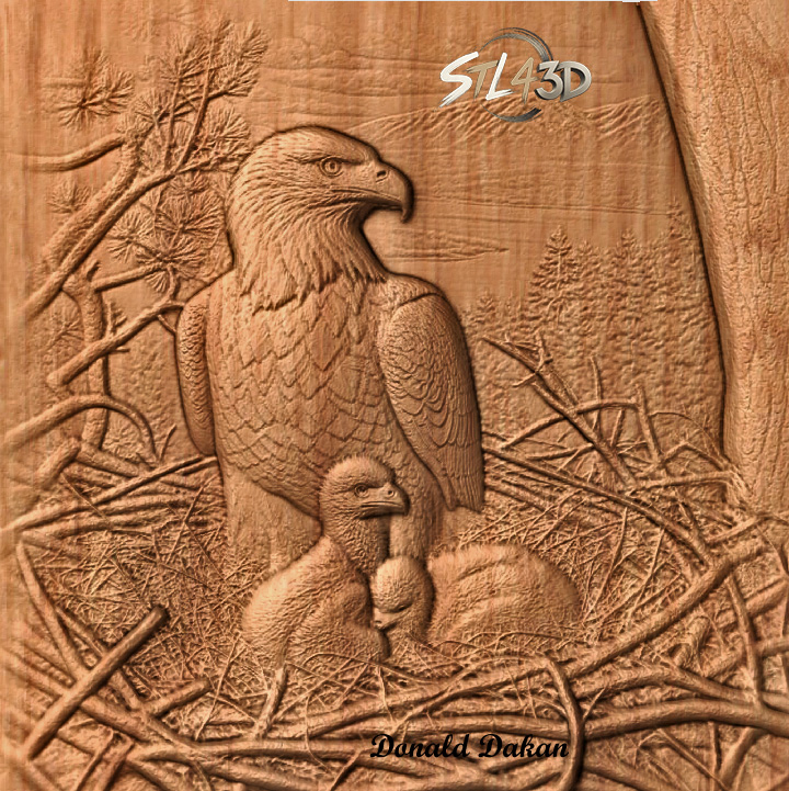 Eagle in Nest Eagle in Nest