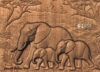 Elephant Family Elephant Family