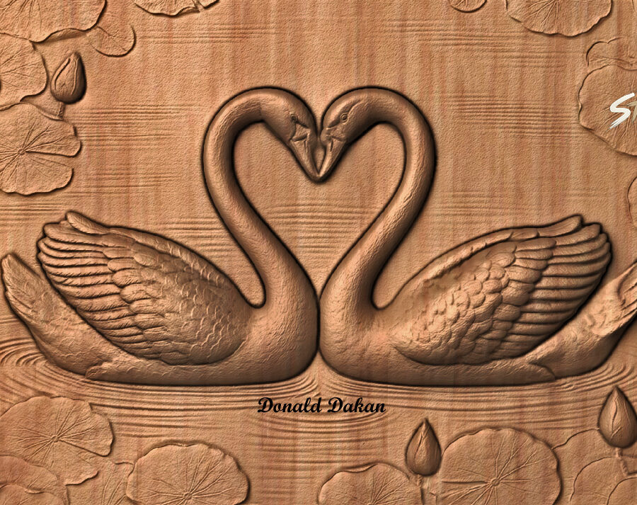 Swans Heart Swans Heart